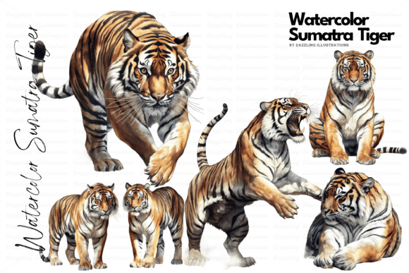 Download Endangered Watercolor Sumatra Tiger Set - Tiger Collection